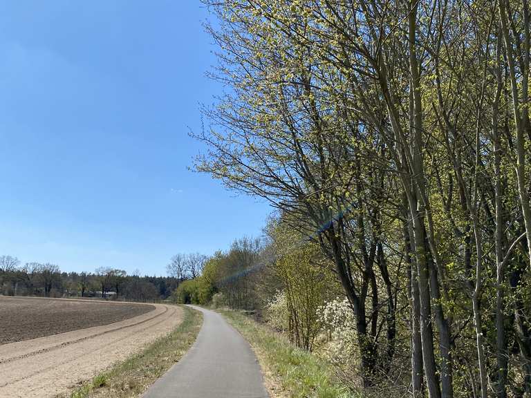 Straßenbegleitender Radweg Rennradfahren und Rennradtouren komoot