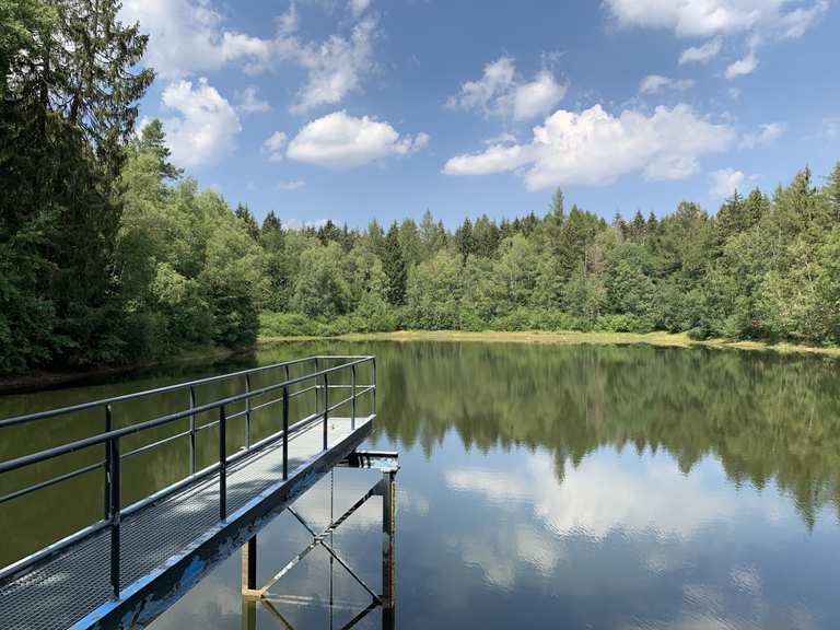 BergratMüllerTeich (HWN 190) Wanderungen und Rundwege komoot