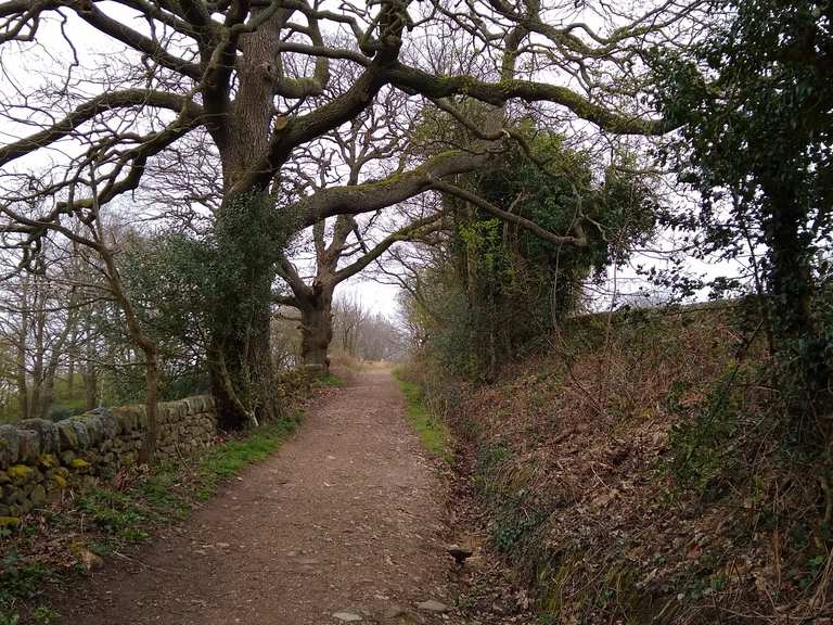 Gravel hill trail Coppice Road Mountain Bike Trails & Tracks Komoot