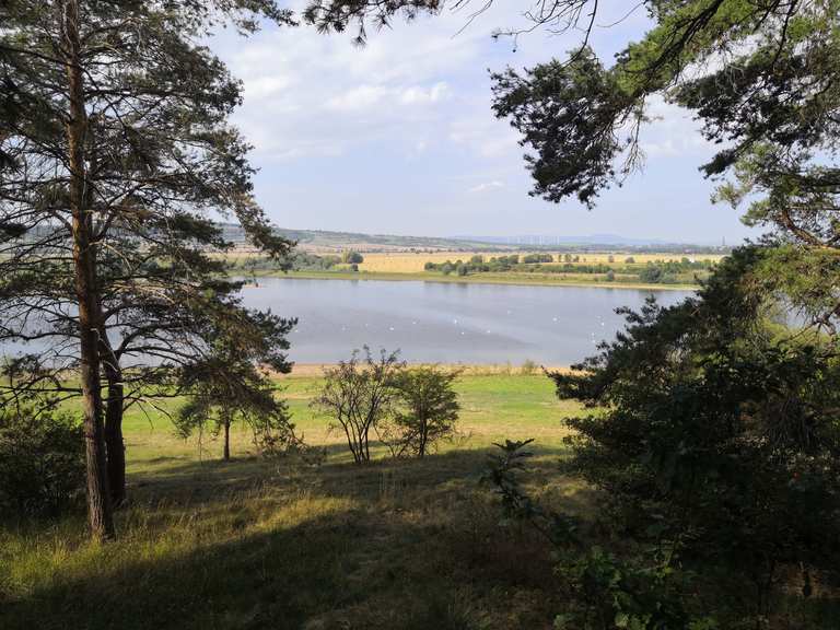 Talsperre Wechmar Wanderungen und Rundwege komoot