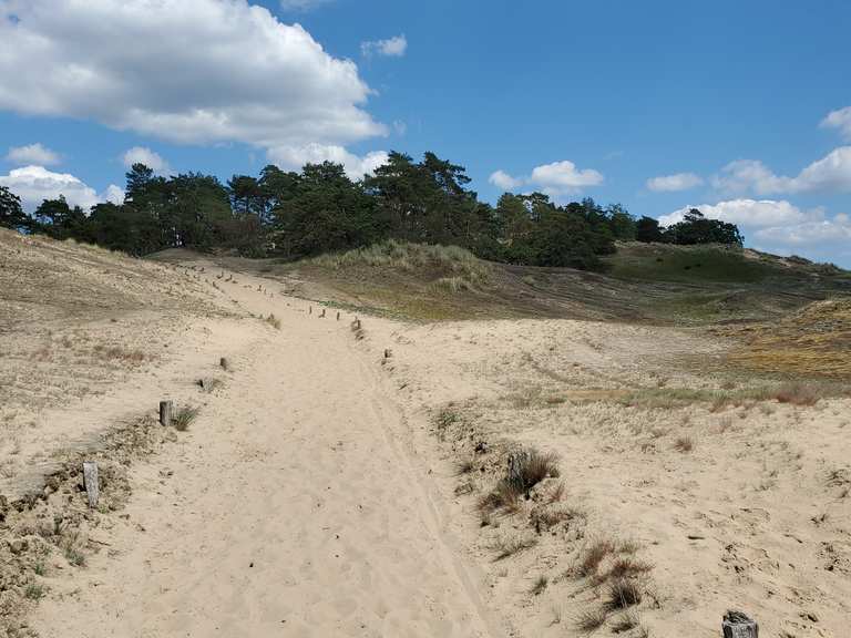 Binnenwanderdüne bei Klein Schmölen Radtouren und Radwege komoot