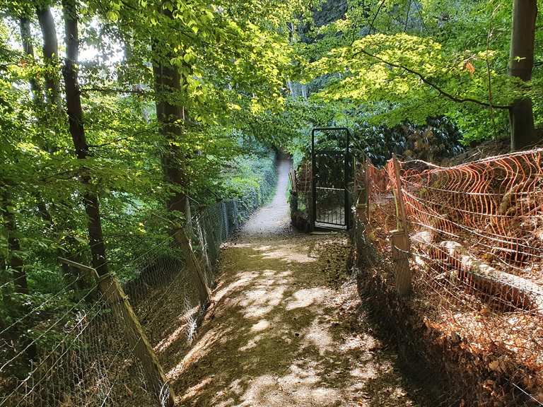 Zwischen den Zäunen am Westufer des Großensees MountainbikeTouren und