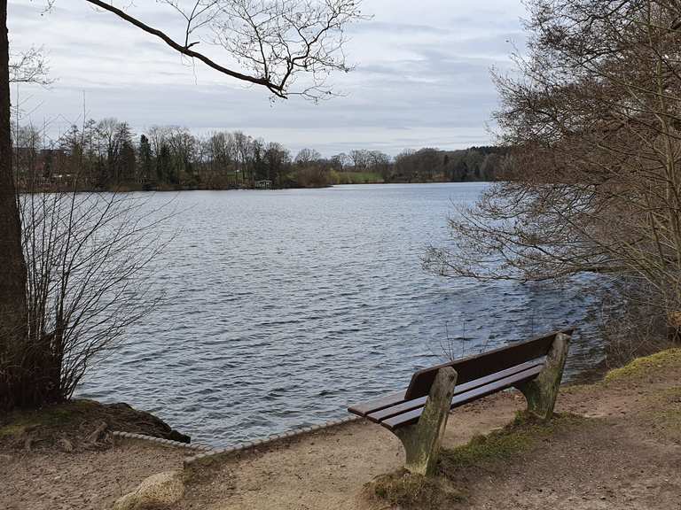 Großensee Badestelle MountainbikeTouren und Trails komoot