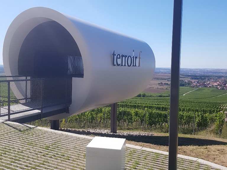 Terroir F Iphofen R delsee Kitzingen Wandertipps Fotos Komoot
