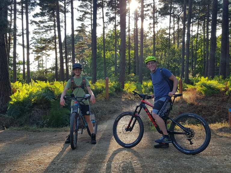 Swinley Bike Hub Mountain Bike Trails & Tracks Komoot