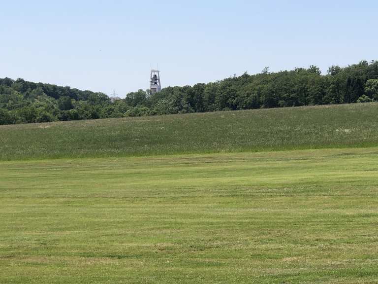 Asiatischer Garten Ausblick von Falscheid Runde von