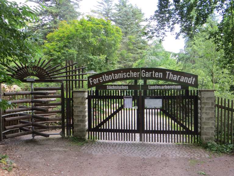 Forstbotanischer Garten Tharandt der TU Dresden Routes for Walking and