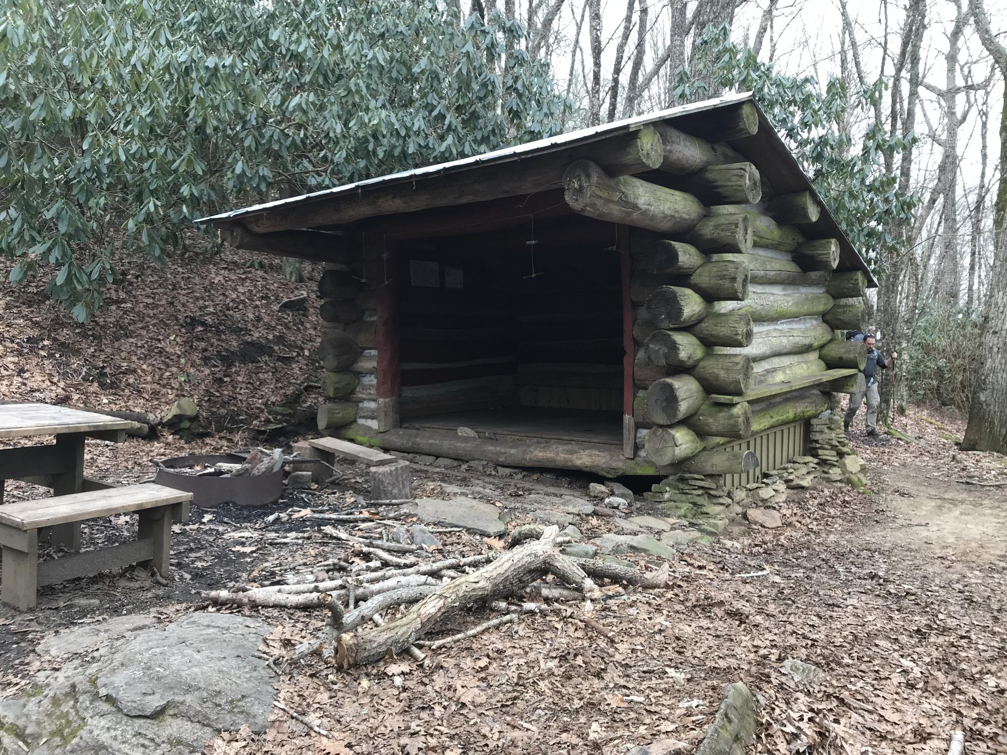Rustic log shelter with a picnic table and fire pit in a forest.