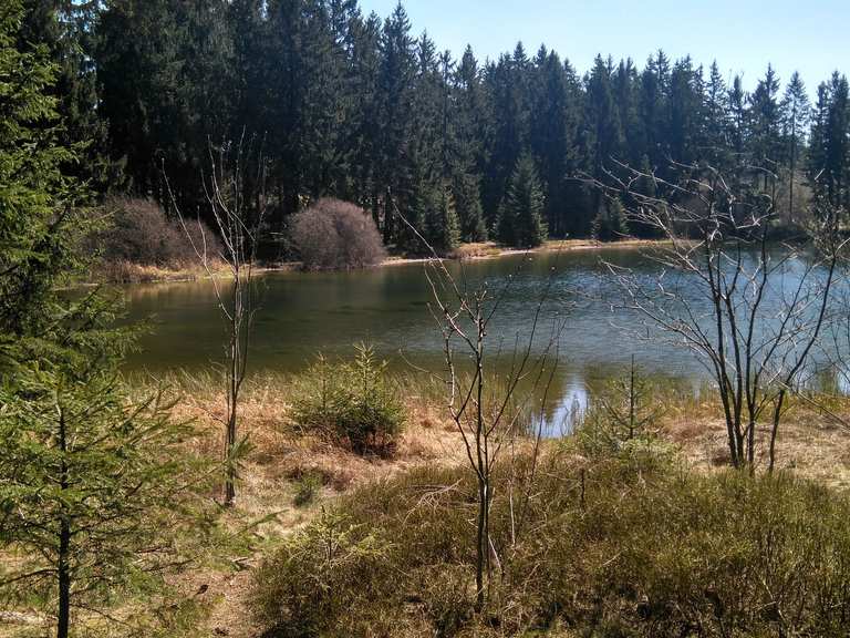 Oberer Flambacher Teich Wanderungen und Rundwege komoot