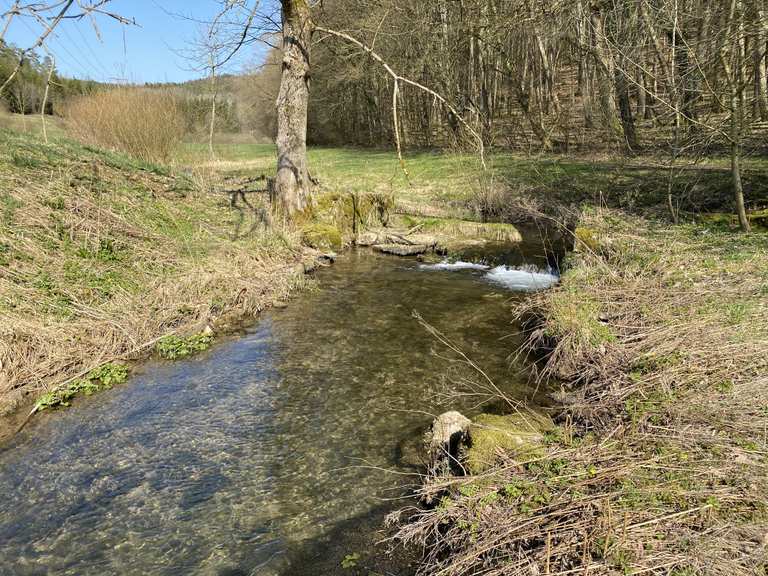 Oberes Leinleitertal: Wanderungen und Rundwege | komoot