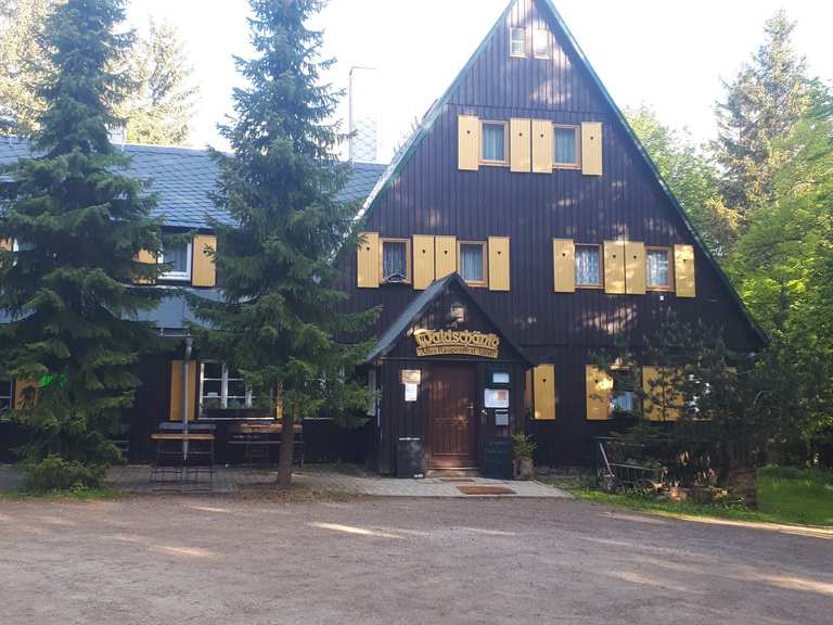 Wüster Teich Raupennest Runde von Altenberg (Erzgeb) Laufrunde Komoot