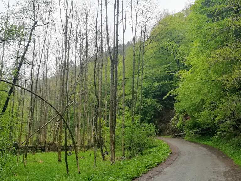 Dhünntal und Linnefetal mit Seitentälern Cycle Routes and Map Komoot