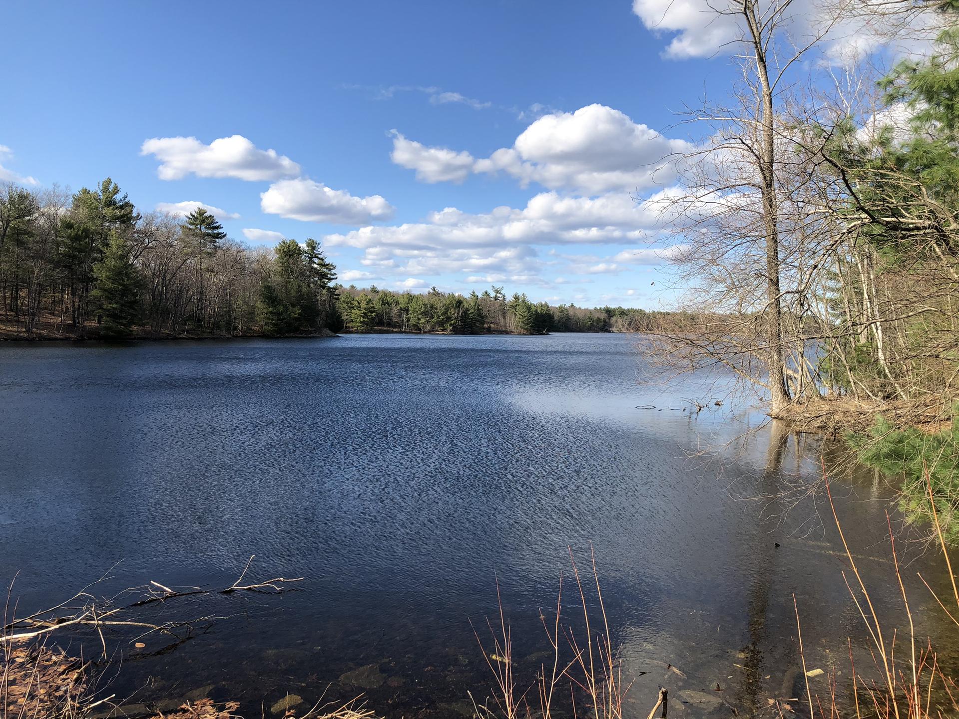Vast blue lake with forested shores under a bright, partly cloudy sky.