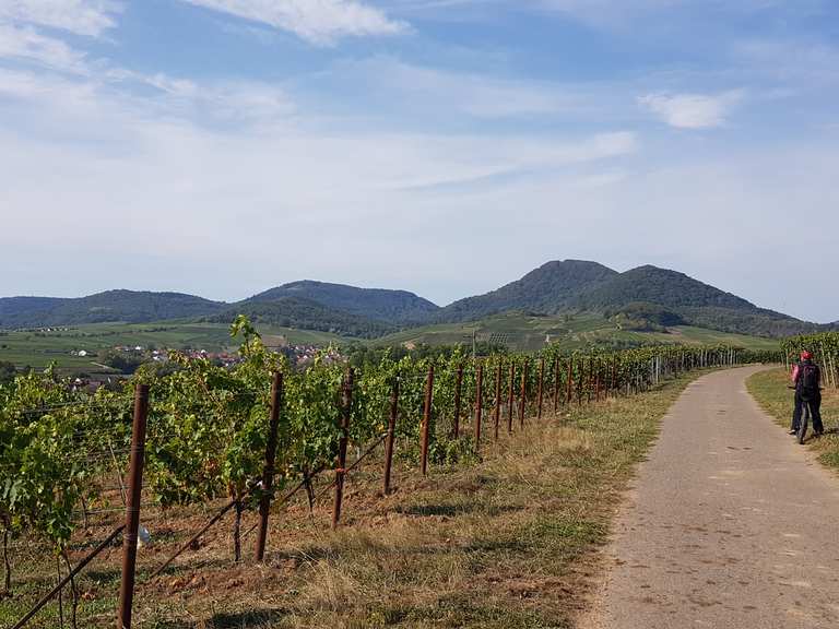 Burgunder (Wander)Weg – Blick auf Gräfenhausen Runde von Landau (Pfalz ...