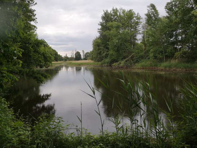 Schöner Radweg am Teich Runde um den Bärwalder See Rondje vanuit