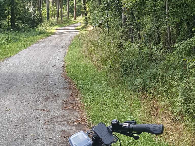 Fahrrad Sinsheim Rohrbach