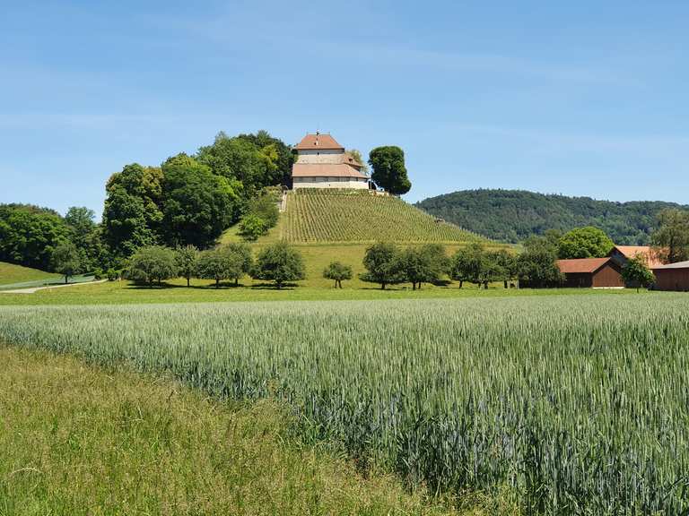 Schloss Girsberg Mountain Bike Trails & Tracks Komoot