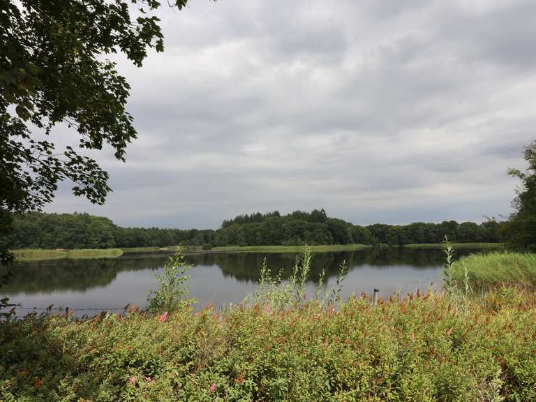Bredenbeker Teich Cycle Routes and Map Komoot