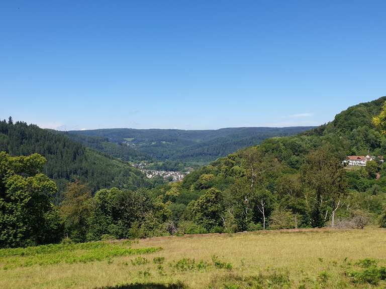 Neckartal–Odenwald Nature Park: Section 5 of the Neckarsteig ...