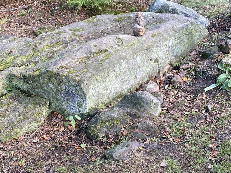 Der keltische Ringwall Wanderungen und Rundwege komoot