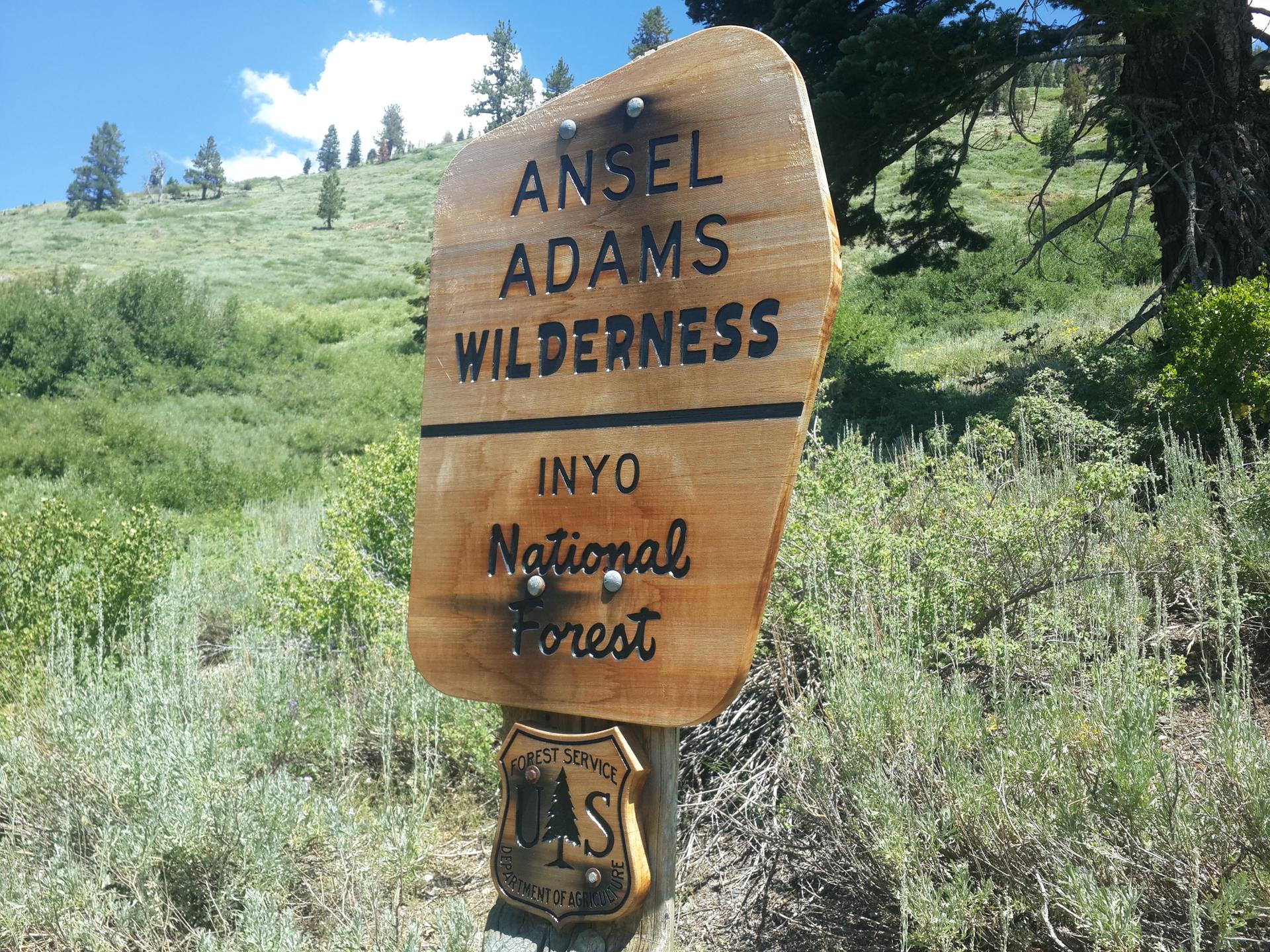 Wooden sign with carved text stands amidst green foliage on a sunny day.