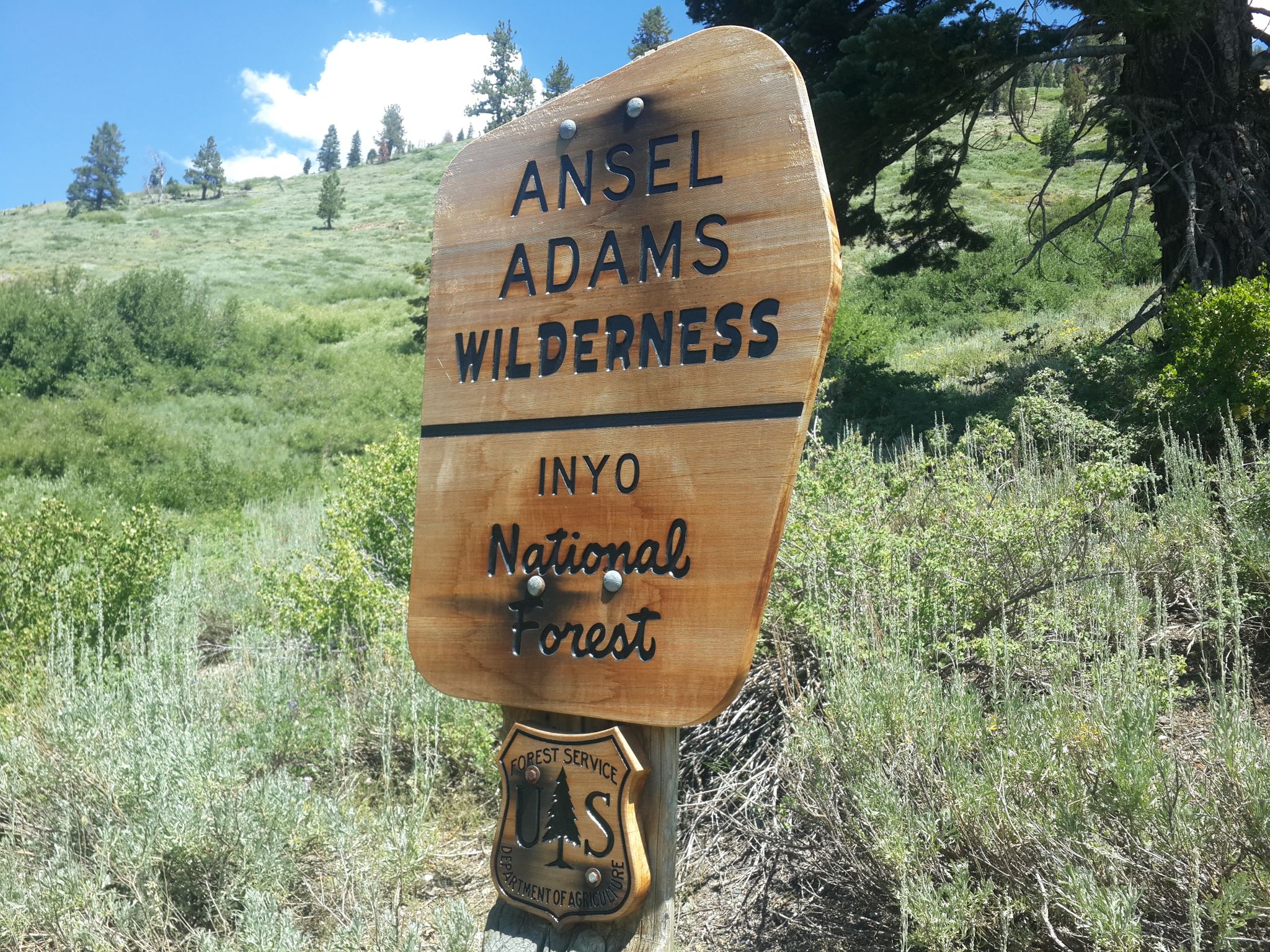 Wooden sign with carved text stands amidst green foliage on a sunny day. - High Trail