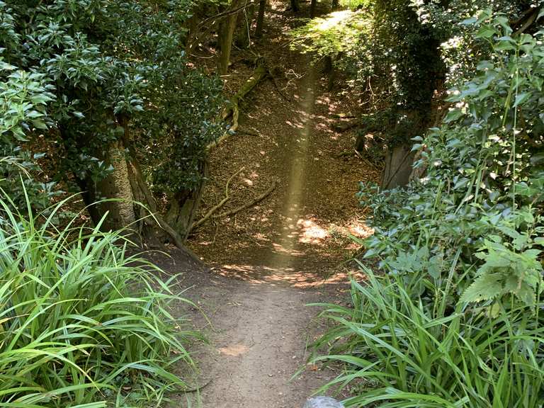 friston forest cycling