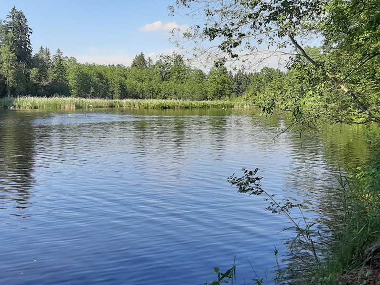 Schönauer Weiher Wanderungen und Rundwege komoot