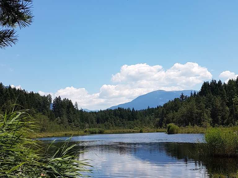 Egelsee Naturjuwel zum Entspannen Wanderungen und Rundwege komoot