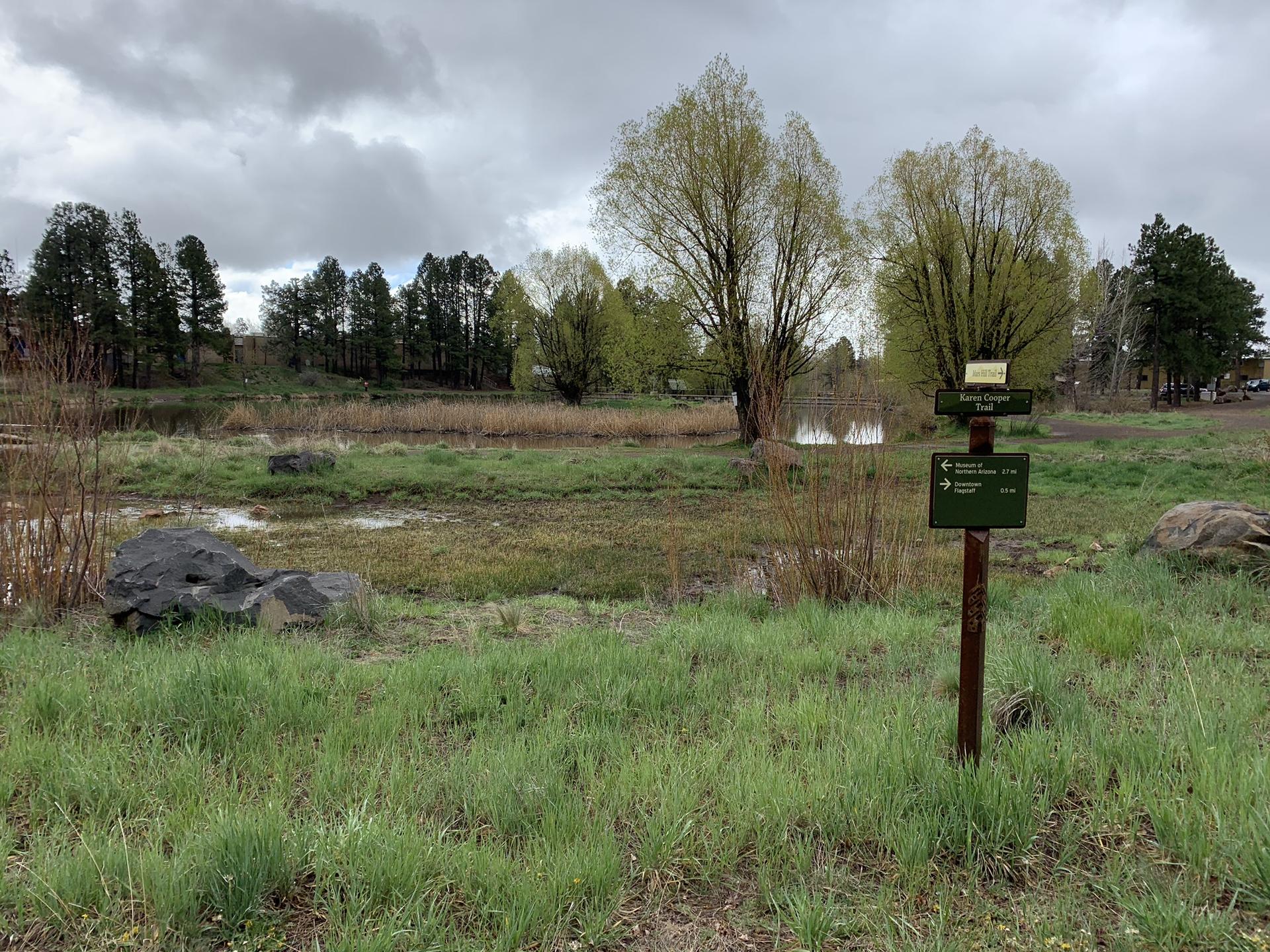 Overcast day, green field with a pond, trees, and a trail sign.
