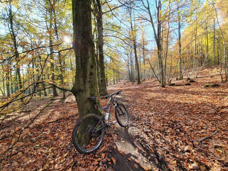 Verderers trail (blue) - Mountain Bike Trails & Tracks | Komoot