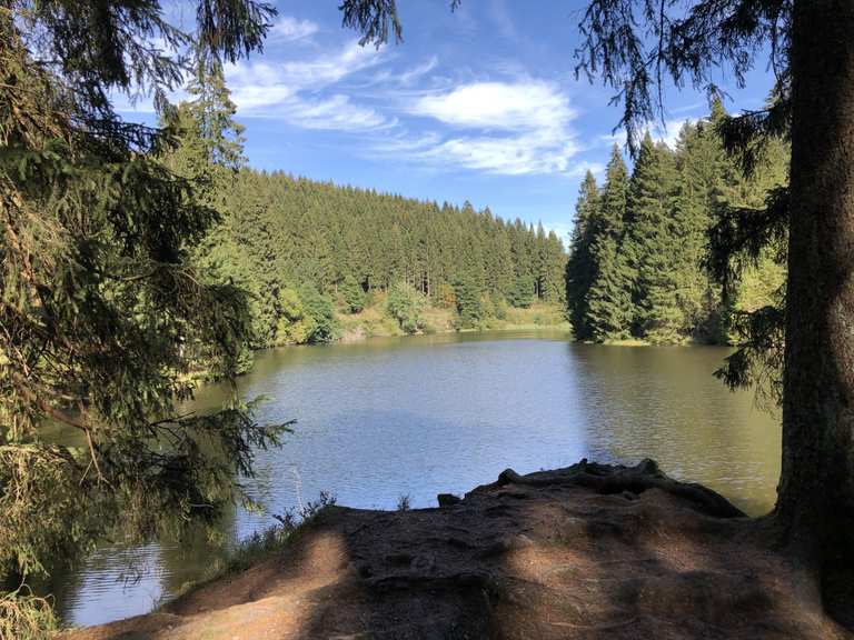 Unterer Grumbacher Teich Schutzhütte (HWN 113) Wanderungen und