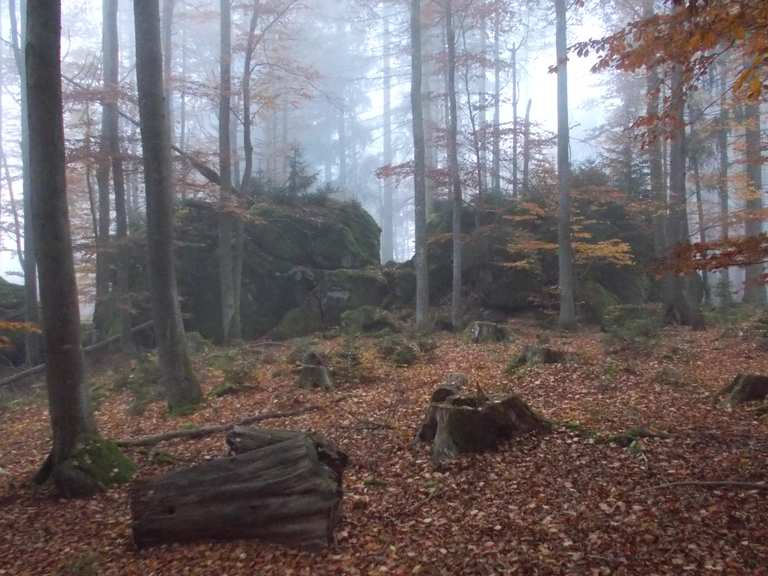 Riesberg-Gipfel (934 m) – Wanderungen & Anfahrt | Komoot