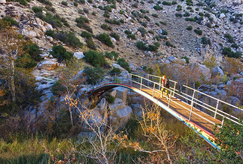 Person walking on a curved wooden bridge over a rocky stream.