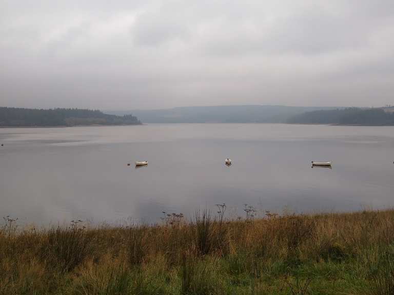 Kielder Water Birds of Prey Centre – One of the largest collections of birds  in the North of England