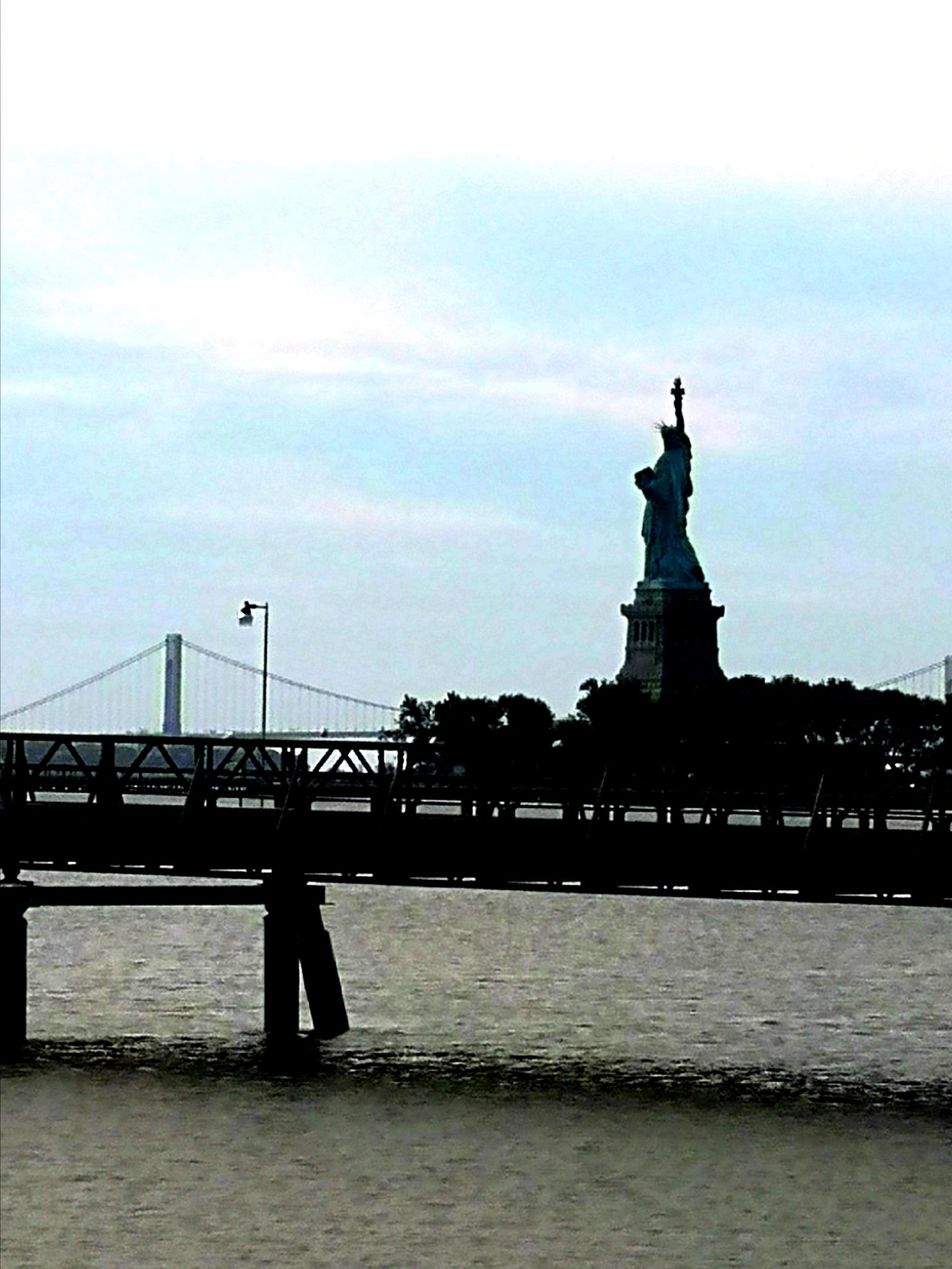 Silhouetted statue and bridge over water under a light, cloudy sky.
