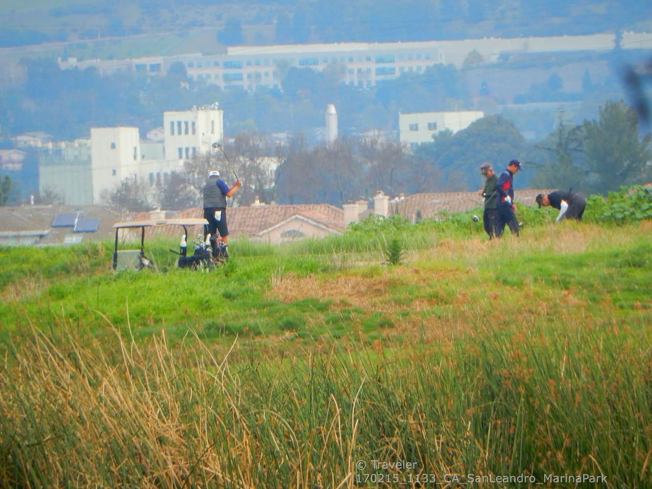 People on a grassy hill with distant buildings under a hazy sky.