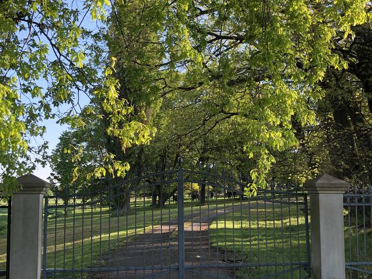 Landgut Martinsbüttel Radtouren und Radwege komoot