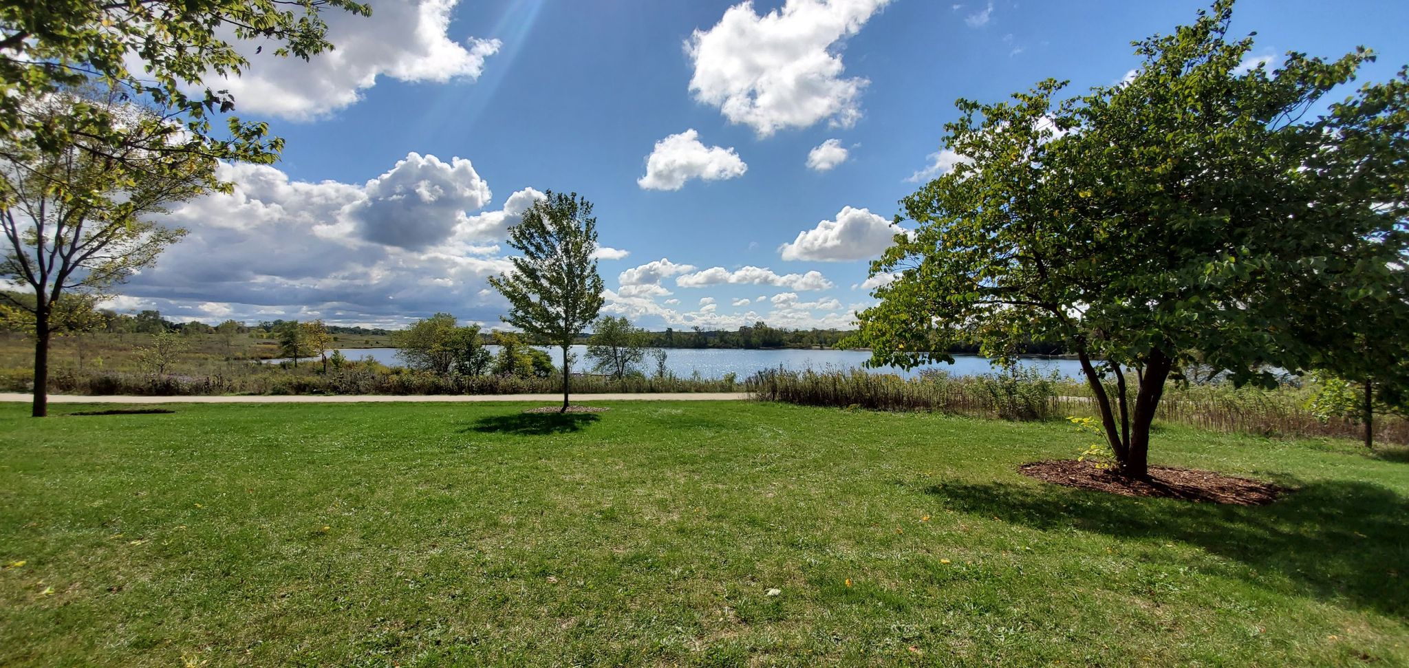 Green lawn and trees frame a lake under a bright, cloudy sky. - West Branch and Hawk Hollow forest