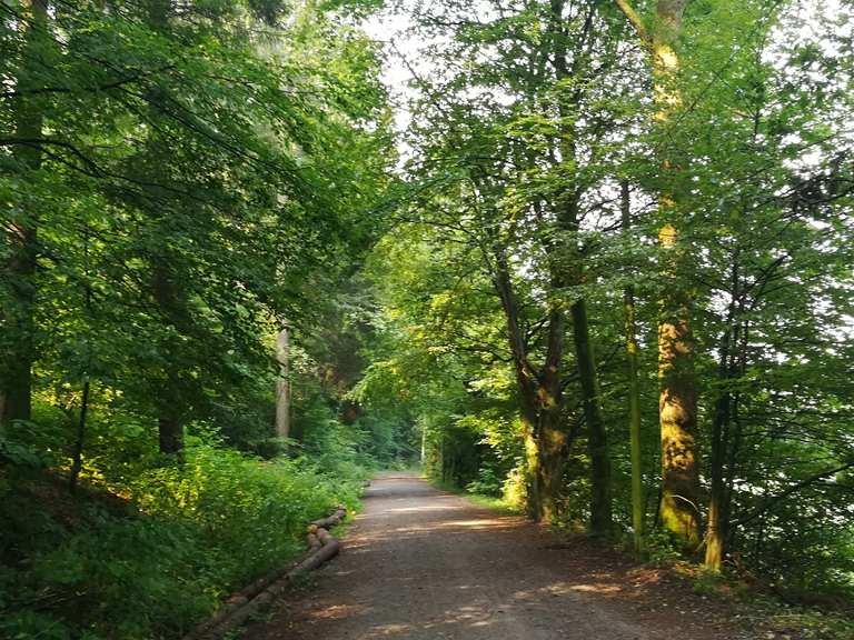 Dhünntal und Linnefetal mit Seitentälern Cycle Routes and Map Komoot