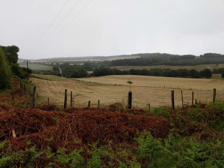 Cannock Chase Visitor Centre Stoneybrook Pool loop from Slitting Mill