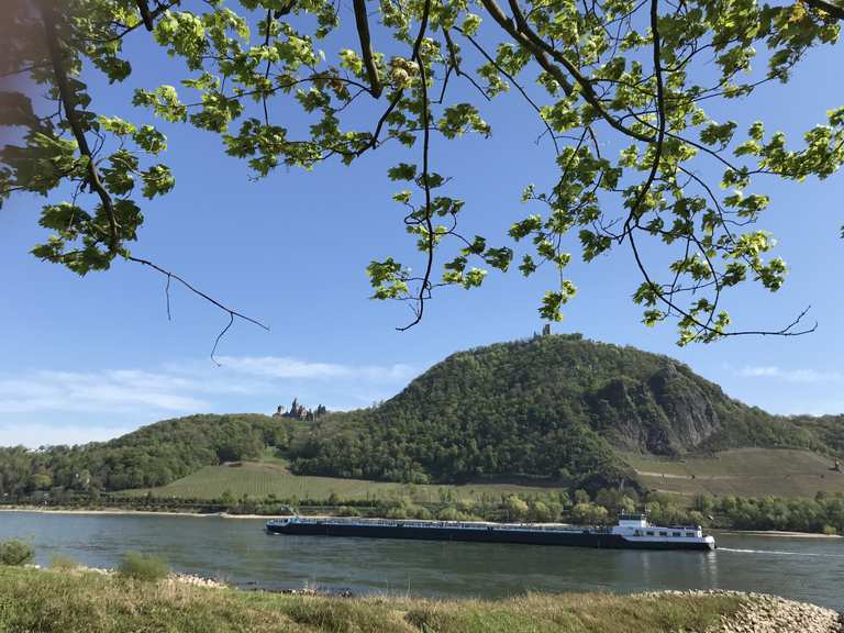 Blick auf den Drachenfels NordrheinWestfalen