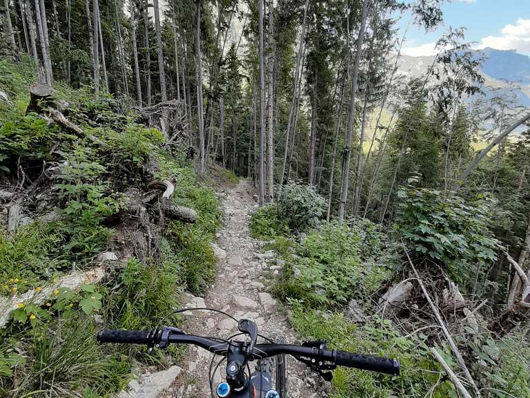 bmw klapprad 26 zoll 26-Zoll Equipment:Other trinx bicycle Meine Frau und ich