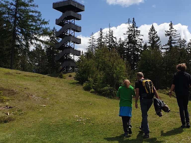 Aussichtsturm am Grünberg 1497m Wanderungen und Rundwege komoot