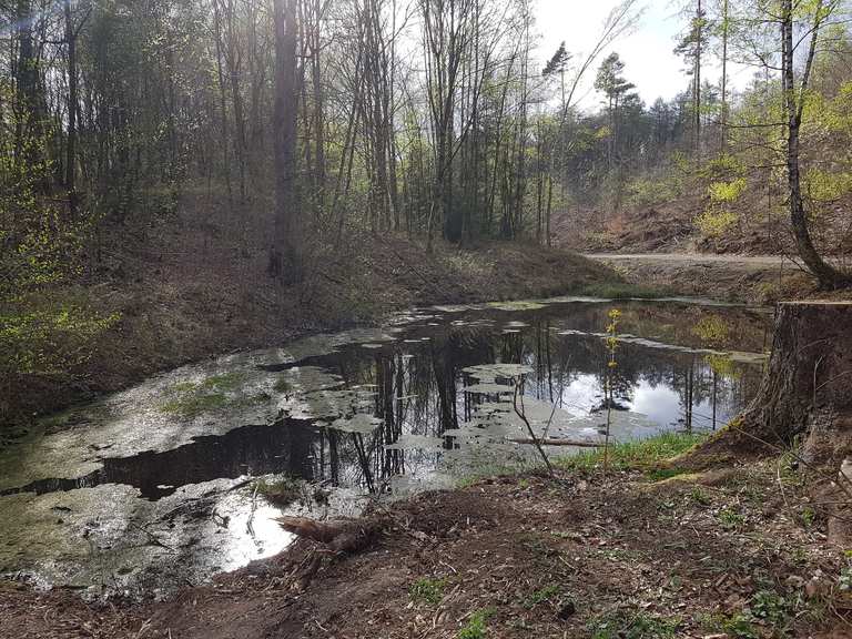 Sieben Teiche Routes for Walking and Hiking Komoot
