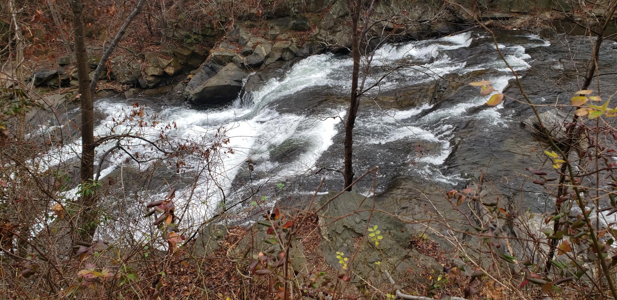 Rushing white water rapids flow over rocks, framed by bare branches.
