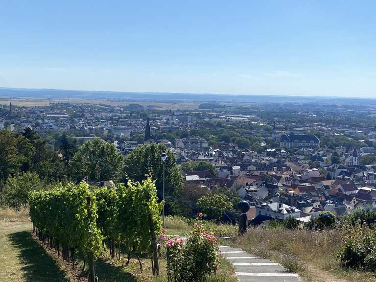 Johannisberg MountainbikeTouren und Trails komoot