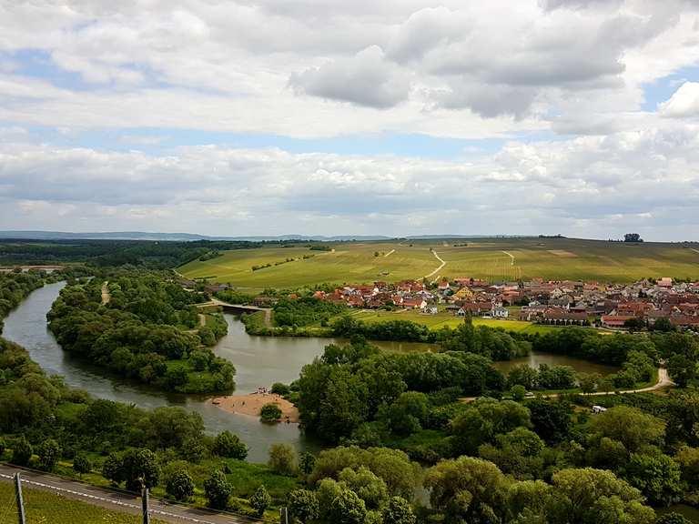 Schöner Blick auf den Main Rathaus Volkach Runde von Obervolkach