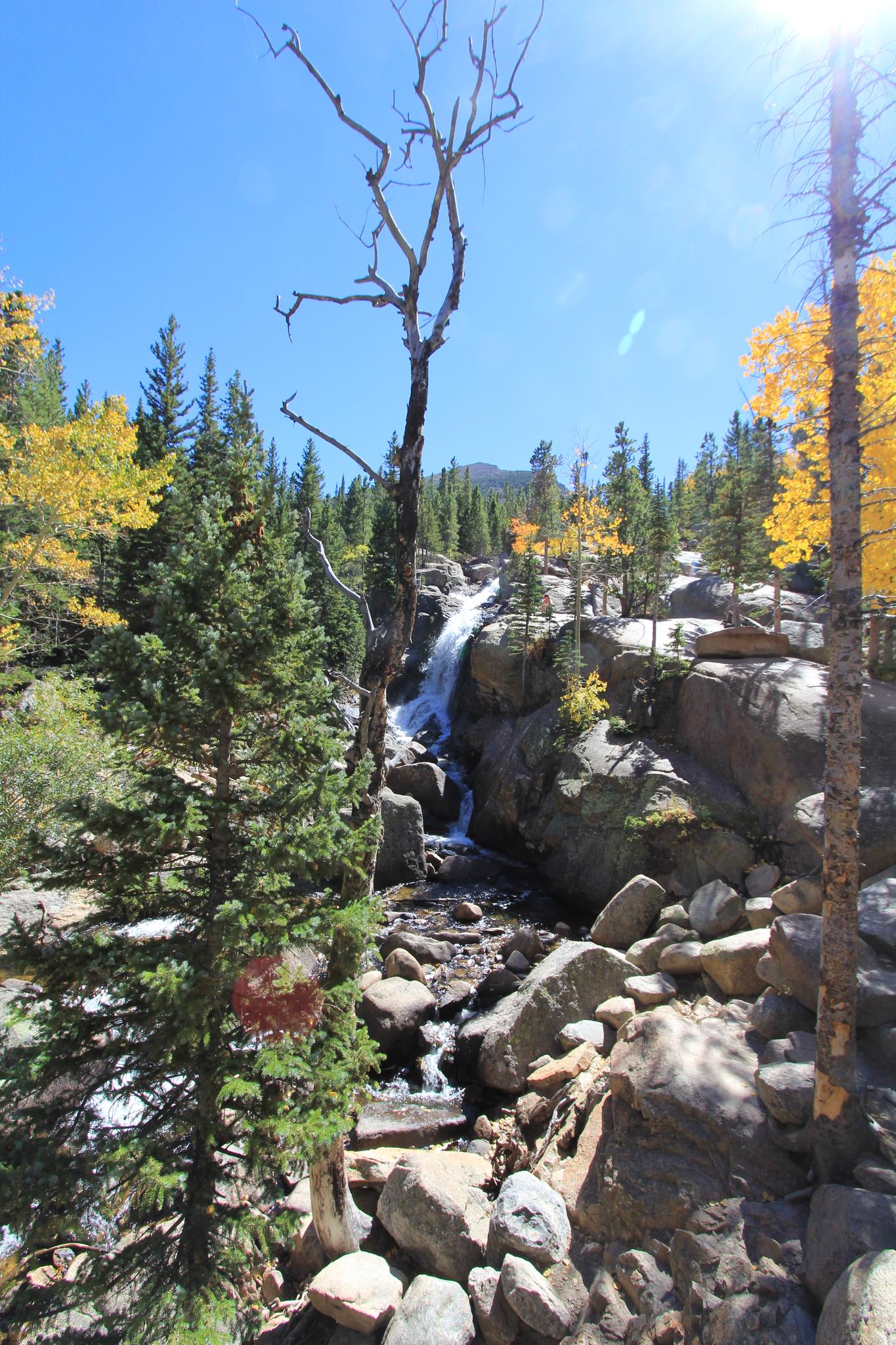 Waterfall and rocky stream with pine and yellow aspen trees under bright sun.