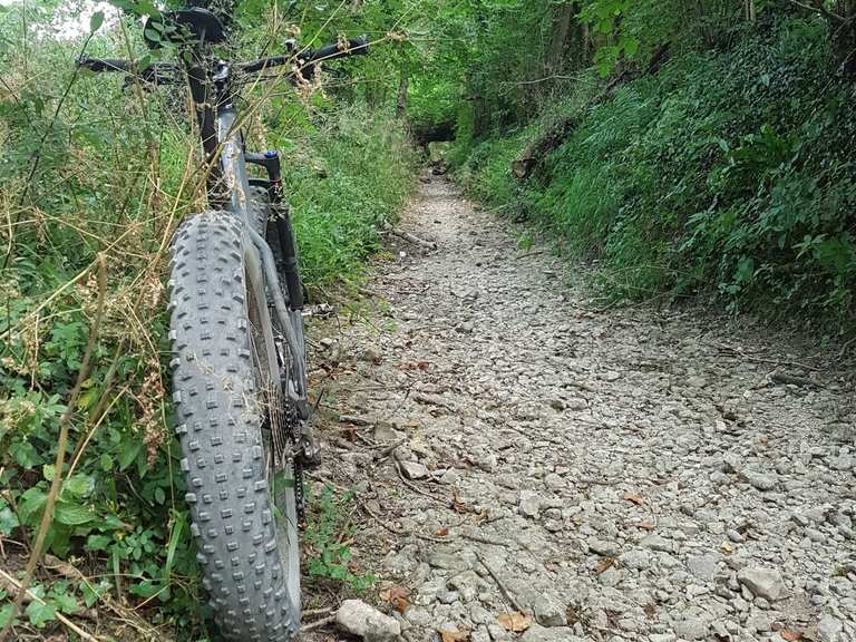 meon valley cycle trail